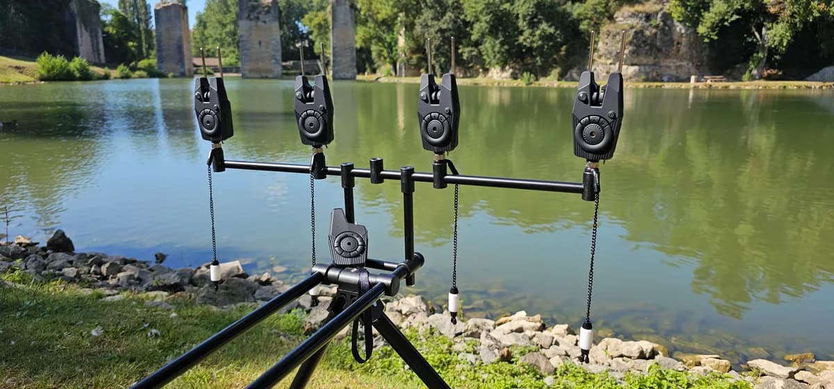 Bite alarm setup at dawn